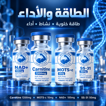 الطاقة و الاداء